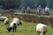 Fietsen in Drenthe